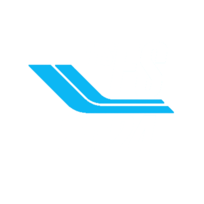 MSFS2024 logo